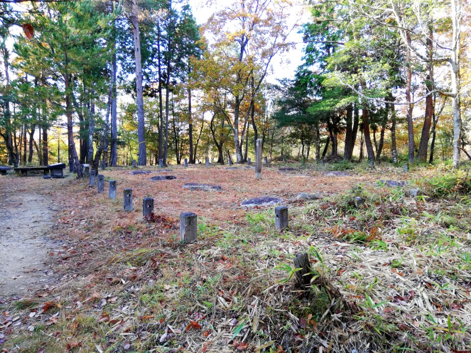 Shigaraki Palace Site (Dairino) 20201115 27