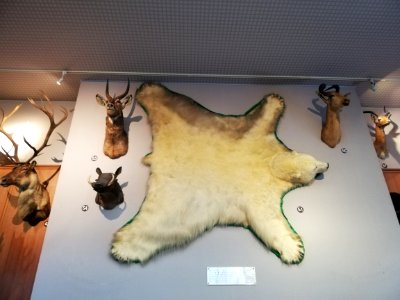 Shiga Safari Museum 20201115 30
