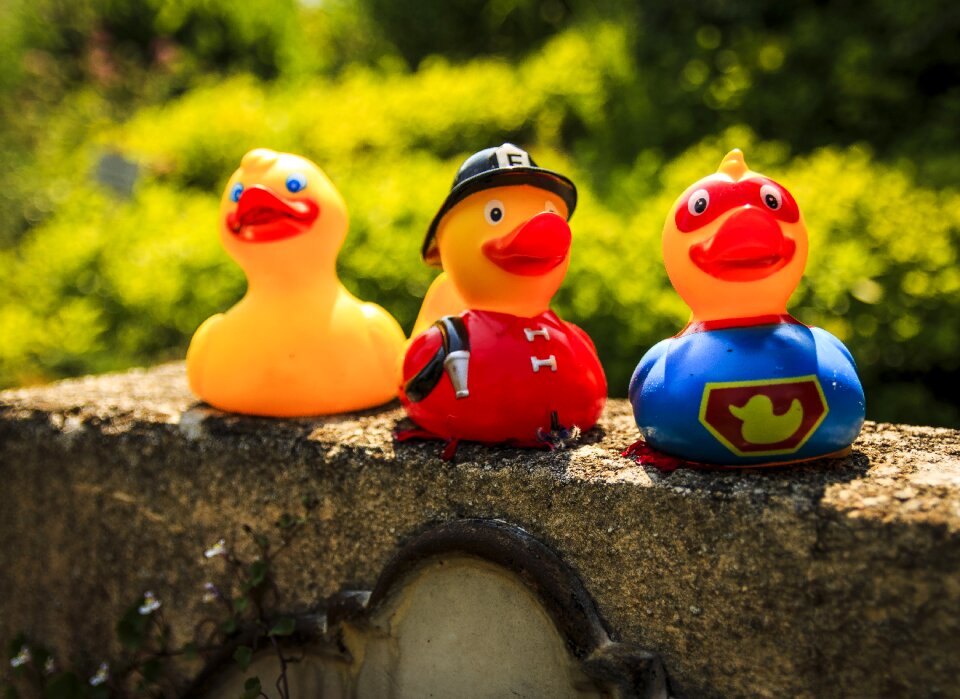 Rubber duck squeak duck toys