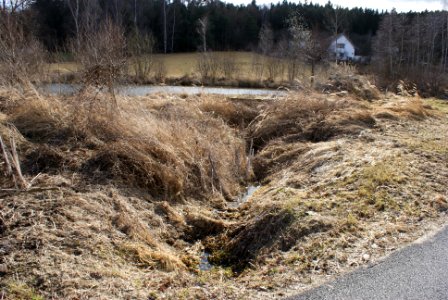 Skalský potok Spring area 1