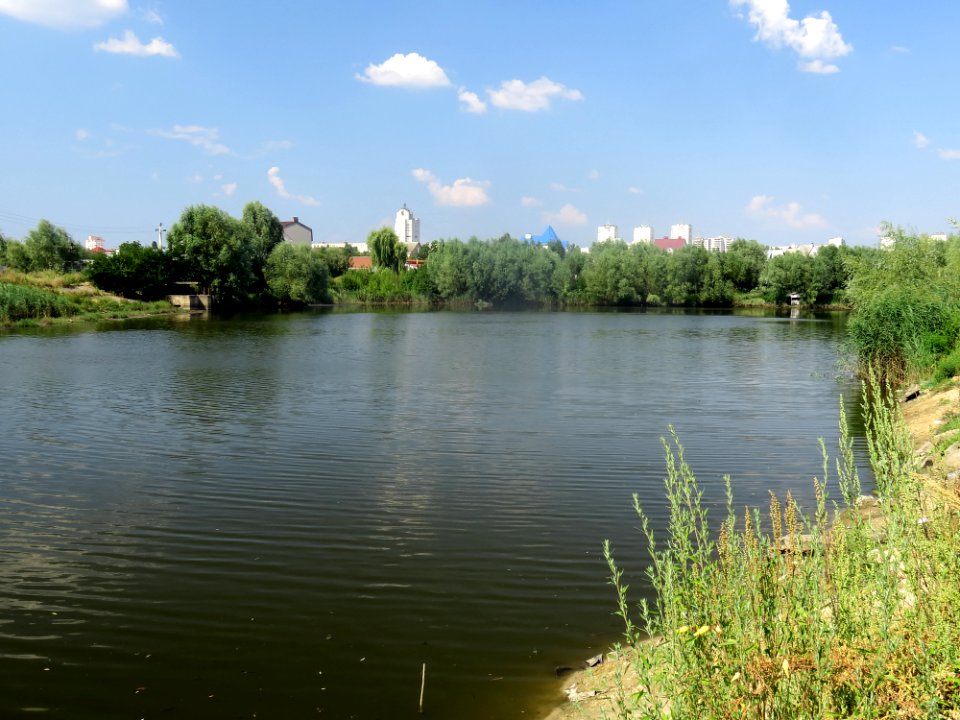 Sofiivska Borshchahivka pond2
