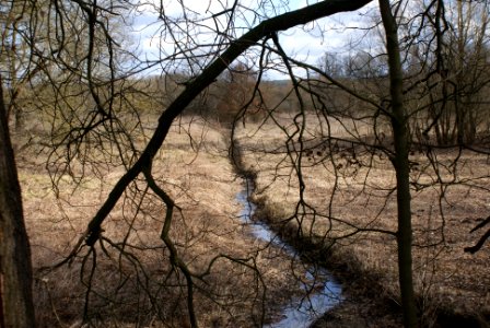 Skalský potok below Tvrzský pond