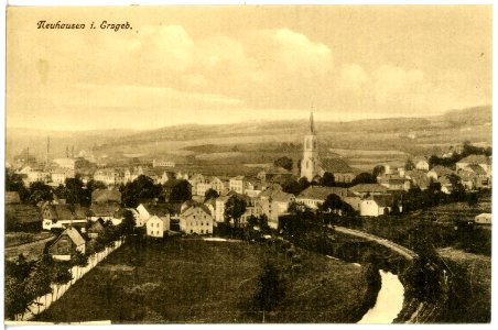 20073-Neuhausen-1916-Blick auf Neuhausen-Brück & Sohn Kunstverlag