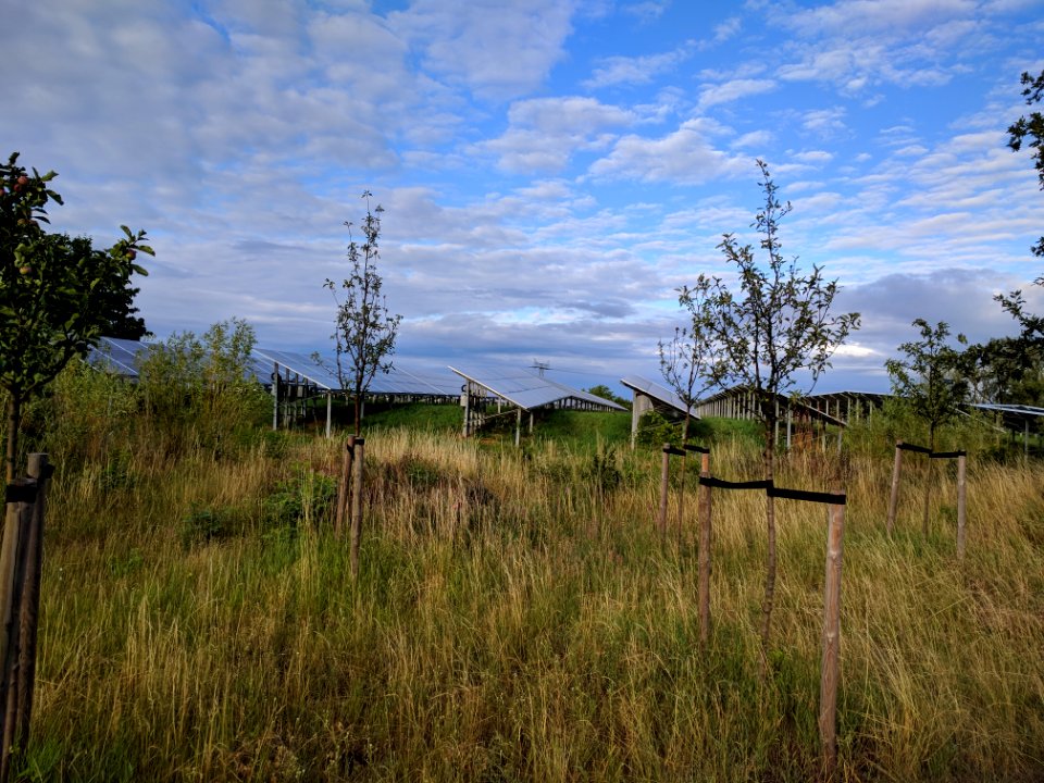 Solarpark-Seelow-Gusow