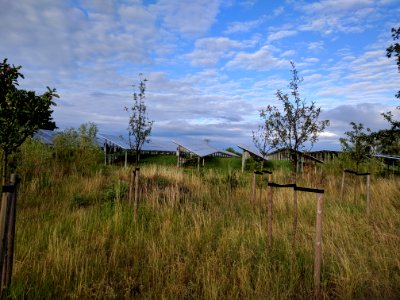 Solarpark-Seelow-Gusow