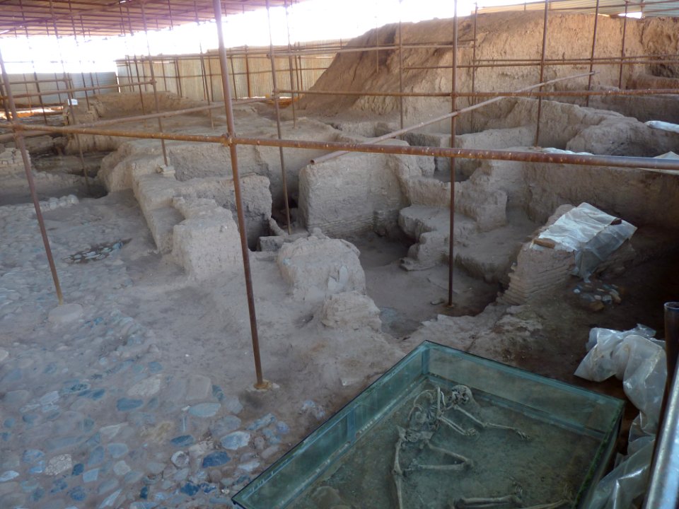 Skeletons in Shadiakh 02