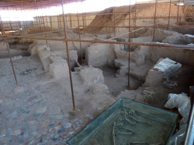 Skeletons in Shadiakh 02