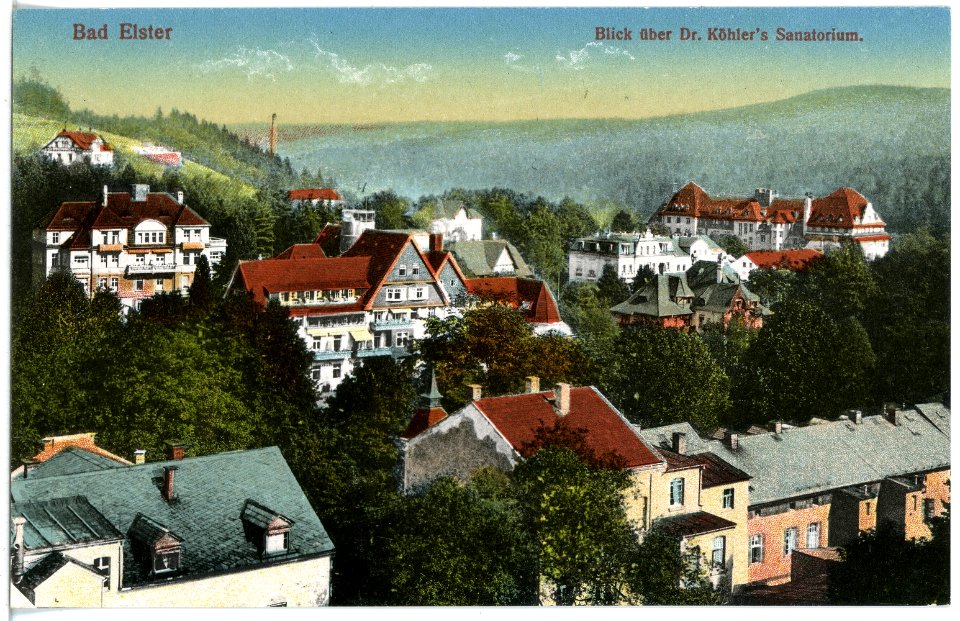 20156-Bad Elster-1916-Blick auf Bad Elster über Köhlers Sanatorium-Brück & Sohn Kunstverlag