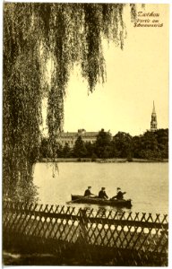 19894-Zwickau-1915-Partie am Schwanenteich-Brück & Sohn Kunstverlag
