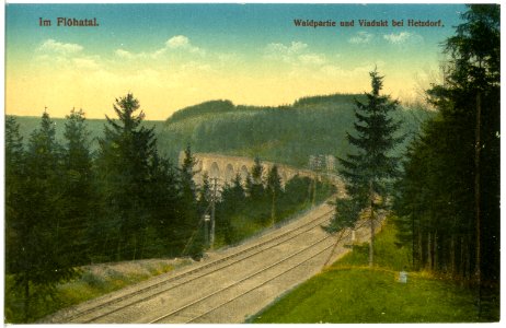 19980-Oederan-1915-Waldpartie und Viadukt bei Hetzdorf-Brück & Sohn Kunstverlag