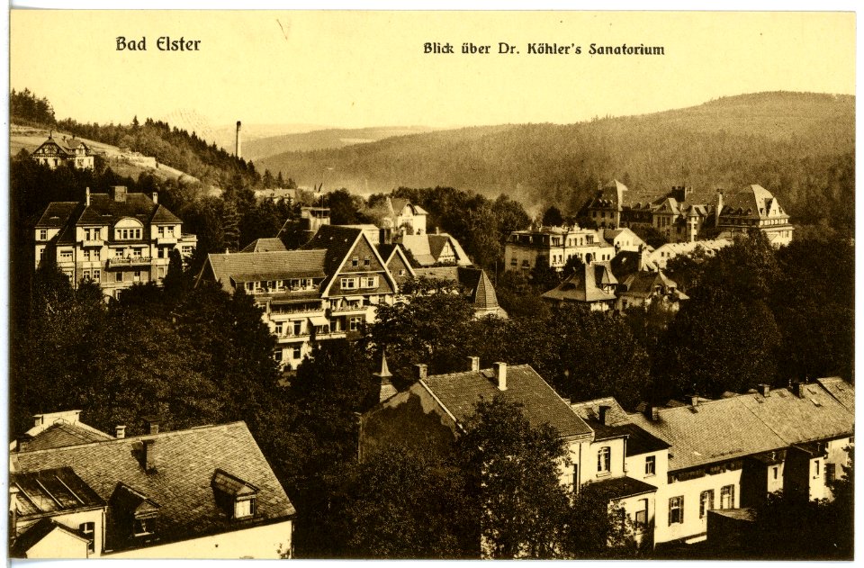 20115-Bad Elster-1916-Blick auf Bad Elster über Köhlers Sanatorium-Brück & Sohn Kunstverlag