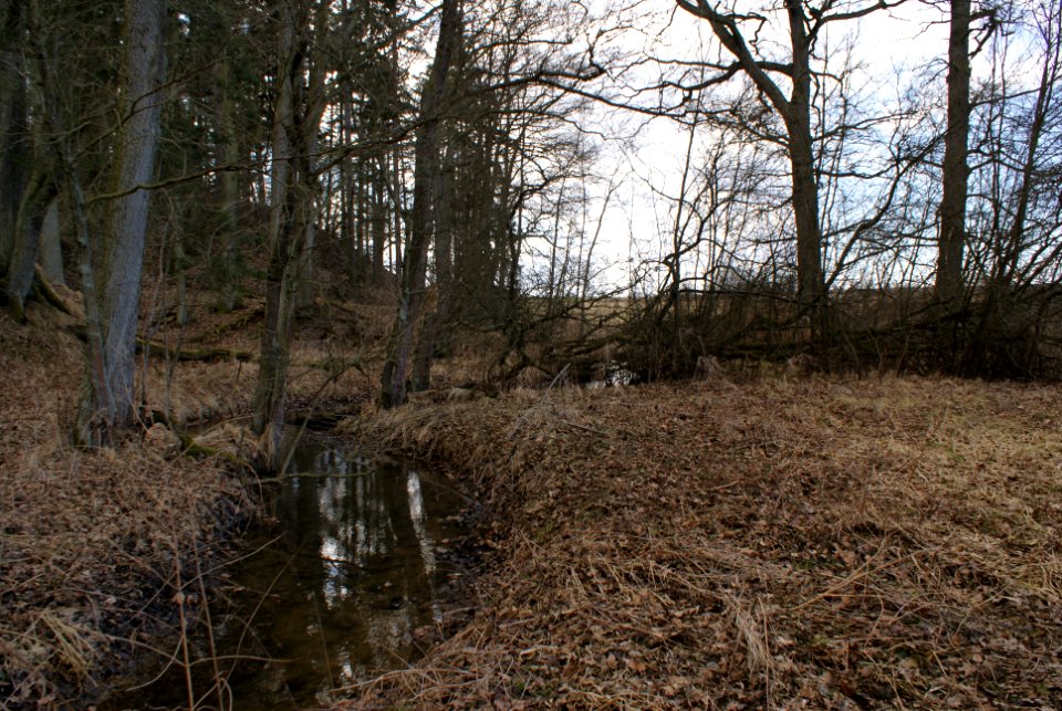 Skalský potok belov Zástavný pond