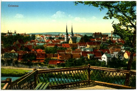 19707-Grimma-1915-Blick auf Grimma-Brück & Sohn Kunstverlag
