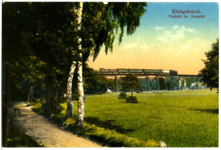 19998-Königsbrück-1915-Viadukt im Auental mit Eisenbahnzug-Brück & Sohn Kunstverlag