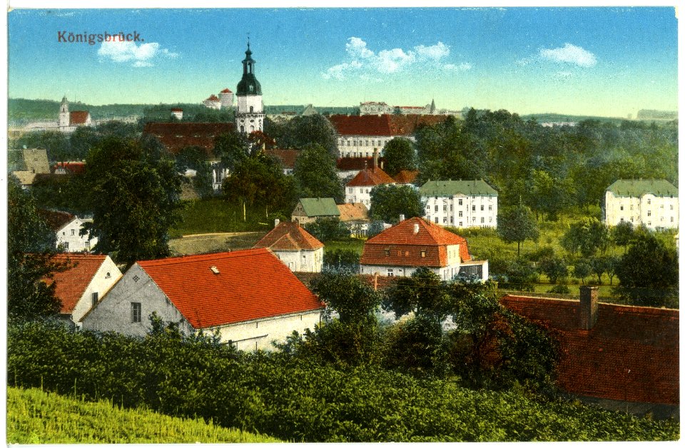 19969-Königsbrück-1915-Blick auf Königsbrück-Brück & Sohn Kunstverlag