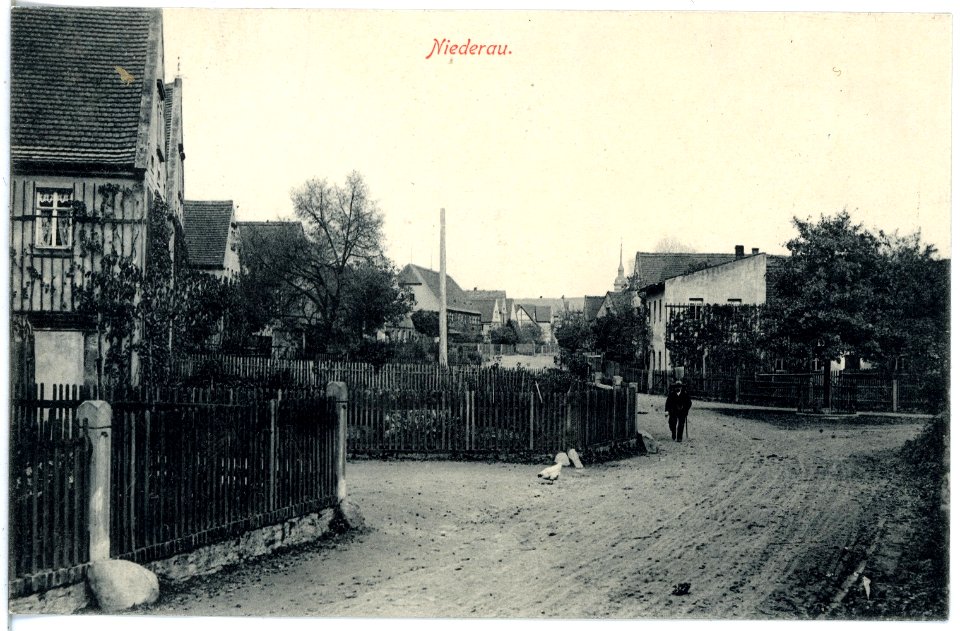 19853-Niederau-1915-Dorfstraße-Brück & Sohn Kunstverlag