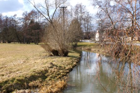 Skalský potok Skály urban area 3