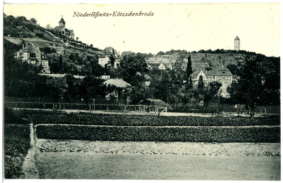 20242-Radebeul-1916-Kötzschenbroda - Niederlößnitz-Brück & Sohn Kunstverlag