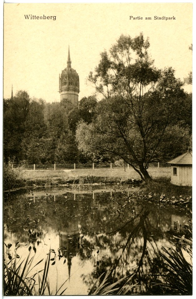 20708-Wittenberg-1917-Stadtpark-Brück & Sohn Kunstverlag
