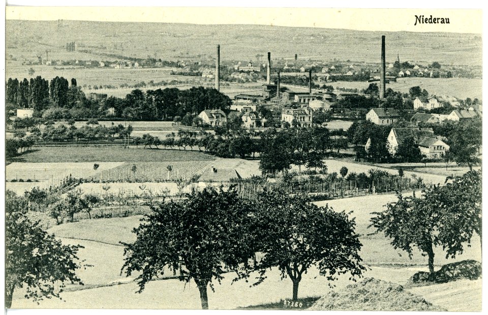 20472-Niederau-1917-Blick auf Weinböhla-Brück & Sohn Kunstverlag