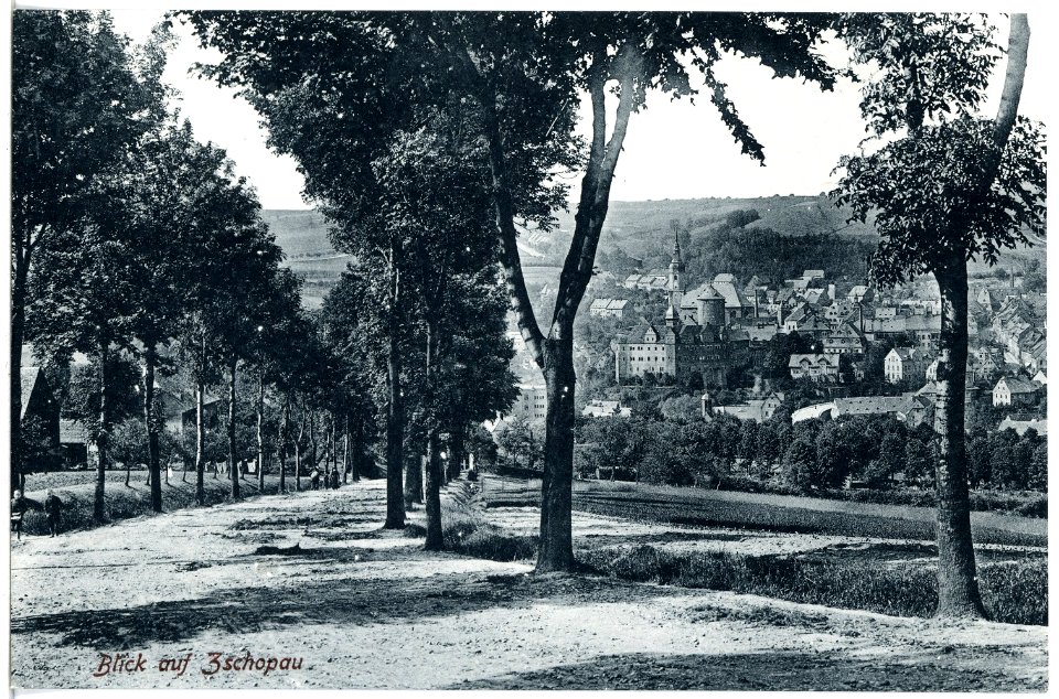 20751-Zschopau-1917-Blick auf Zschopau-Brück & Sohn Kunstverlag
