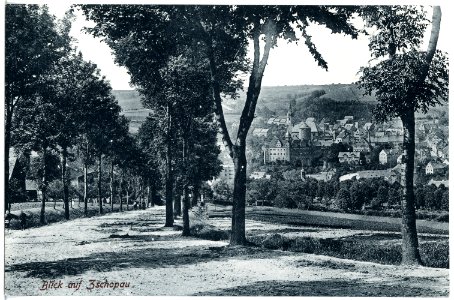 20751-Zschopau-1917-Blick auf Zschopau-Brück & Sohn Kunstverlag