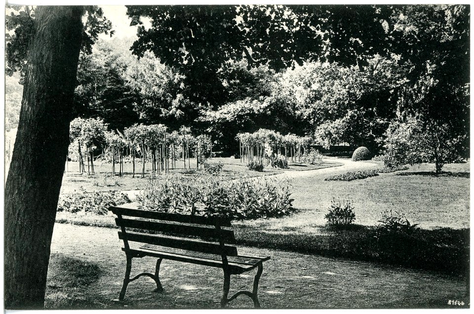 20325-Großenhain-1917-Stadtpark-Brück & Sohn Kunstverlag