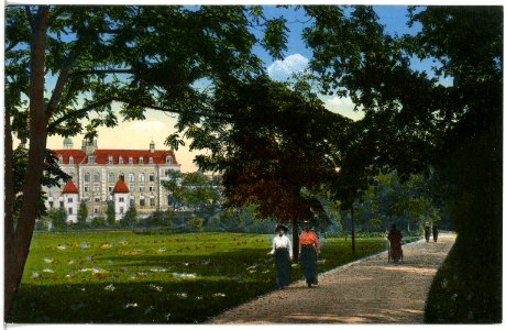 20144-Zwickau-1916-Partie in den Anlagen-Brück & Sohn Kunstverlag