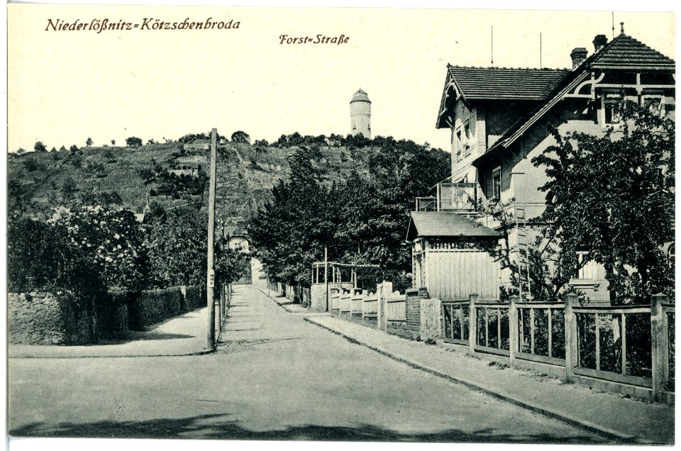20239-Radebeul-1916-Forststraße - Niederlößnitz-Kötzschenbroda-Brück & Sohn Kunstverlag
