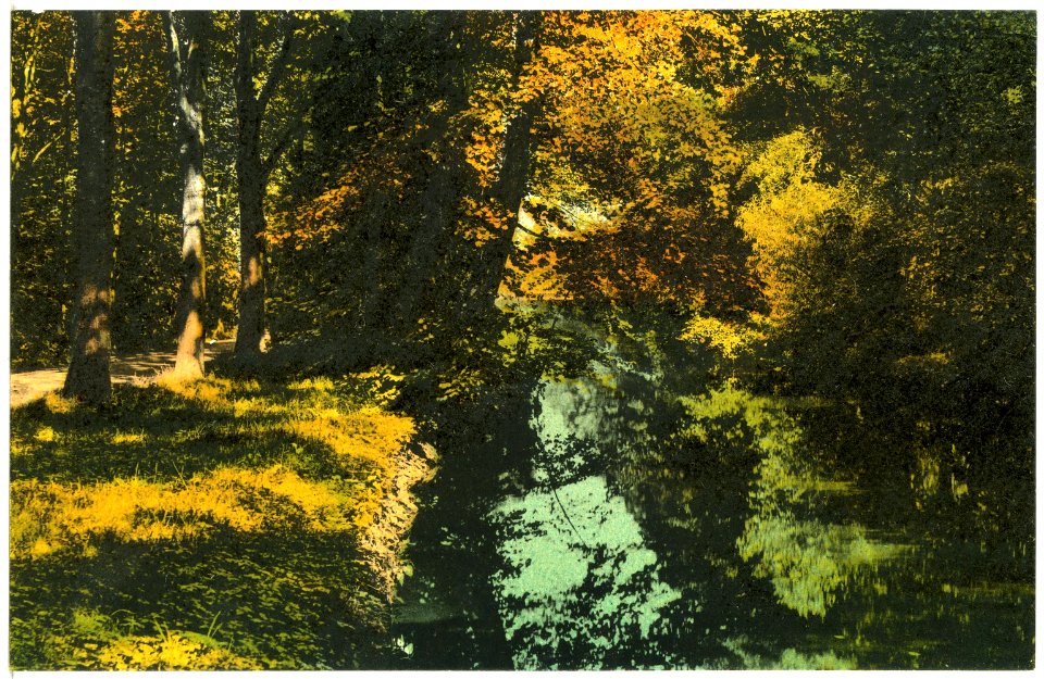 20399-Großenhain-1917-Stadtpark-Brück & Sohn Kunstverlag