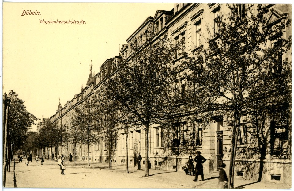 19852-Döbeln-1915-Wappenhenschstraße-Brück & Sohn Kunstverlag
