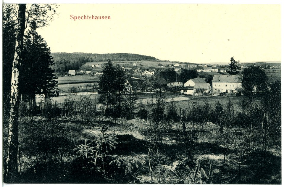 20449-Spechtshausen-1917-Blick auf Spechtshausen-Brück & Sohn Kunstverlag