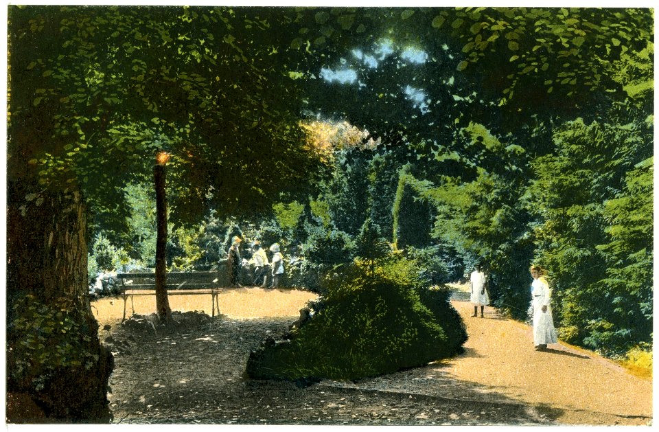 20386-Kamenz-1917-Partie am Hutberg-Brück & Sohn Kunstverlag