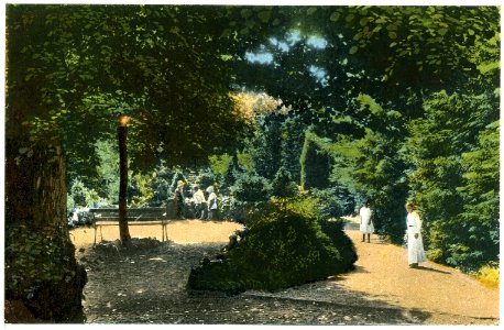 20386-Kamenz-1917-Partie am Hutberg-Brück & Sohn Kunstverlag