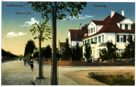 20431-Senftenberg-1917-Bahnhofstraße-Brück & Sohn Kunstverlag
