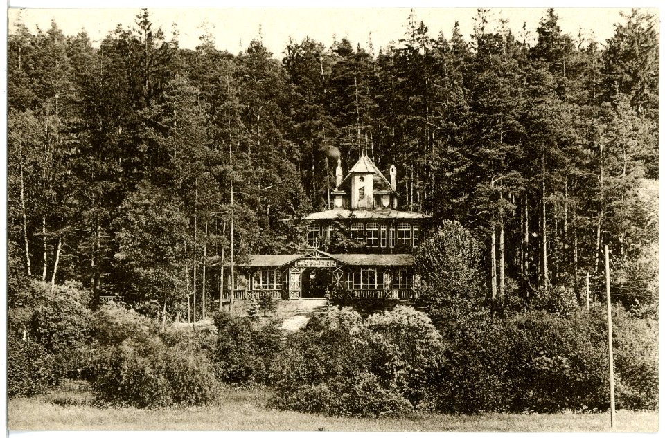 20504-Bad Elster-1917-Waldquelle-Brück & Sohn Kunstverlag