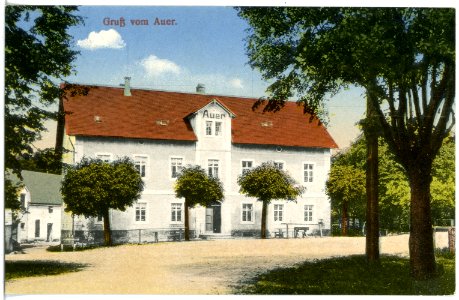 20238-Moritzburg-1916-Auer-Brück & Sohn Kunstverlag