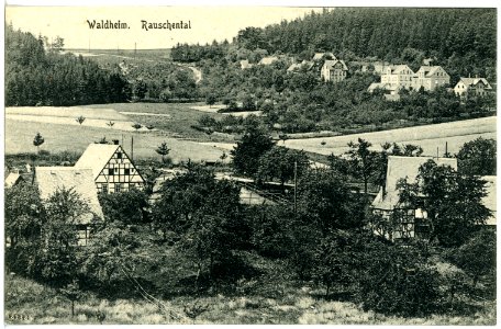 20476-Waldheim-1917-Rauschental-Brück & Sohn Kunstverlag
