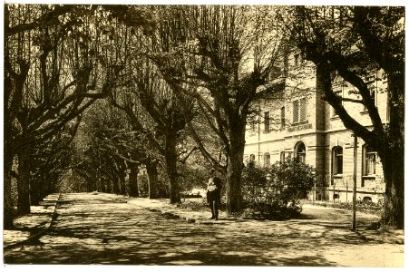20489-Großschweidnitz-1917-Verwaltungsgebäude-Brück & Sohn Kunstverlag