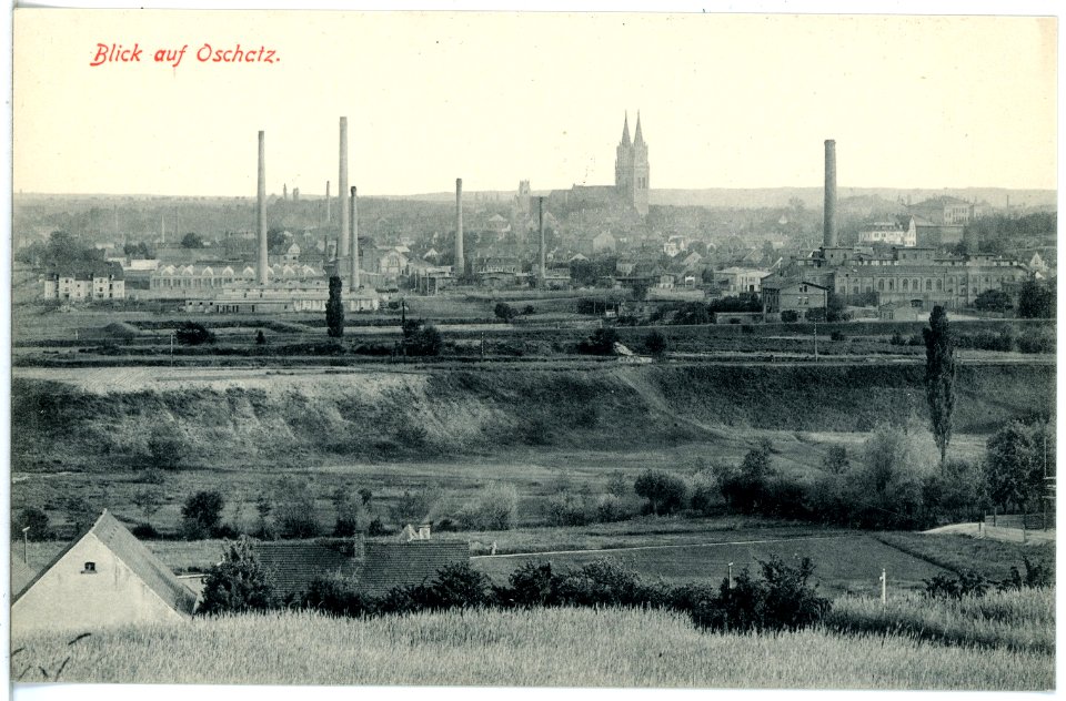 19277-Oschatz-1915-Blick auf Oschatz-Brück & Sohn Kunstverlag