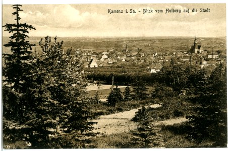 20285-Kamenz-1916-Blick vom Hutberg auf die Stadt-Brück & Sohn Kunstverlag