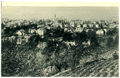 20470-Weinböhla-1917-Blick auf Weinböhla-Brück & Sohn Kunstverlag