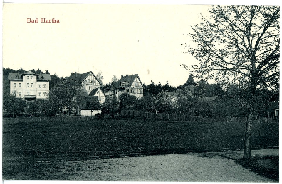 20447-Bad Hartha-1917-Teilansicht-Brück & Sohn Kunstverlag