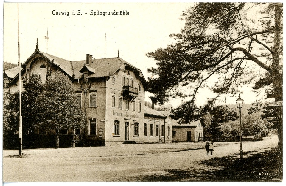 20458-Coswig-1917-Spitzgrundmühle-Brück & Sohn Kunstverlag