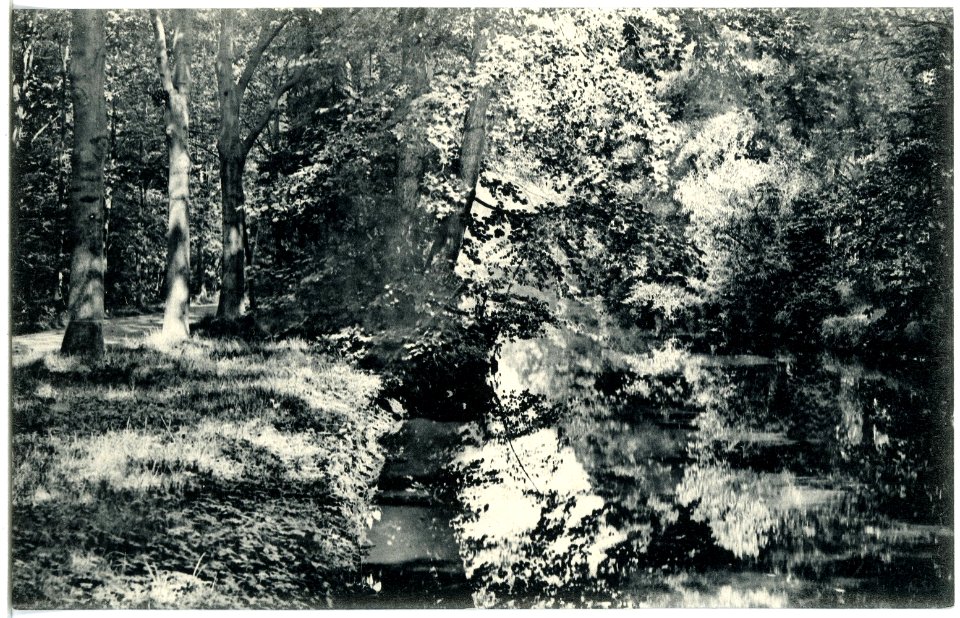 20307-Großenhain-1917-Wasserpartie im Stadtpark-Brück & Sohn Kunstverlag