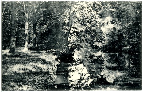 20307-Großenhain-1917-Wasserpartie im Stadtpark-Brück & Sohn Kunstverlag