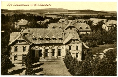20480-Großschweidnitz-1917-Königliche Landesanstalt-Brück & Sohn Kunstverlag