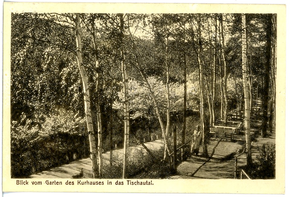 20371-Zschopau-1917-Kurhaus Finkenburg, Blick in das Tauschautal-Brück & Sohn Kunstverlag