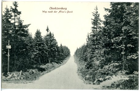 20194-Oberbärenburg-1916-Weg nach der Alices Bank-Brück & Sohn Kunstverlag