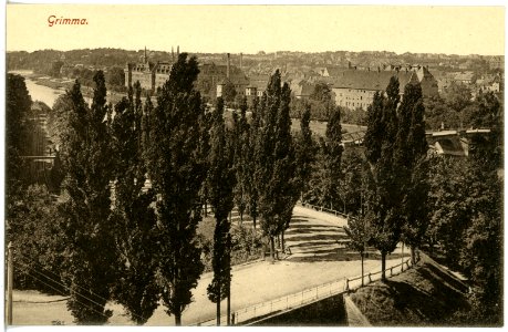 19338-Grimma-1915-Blick auf Grimma-Brück & Sohn Kunstverlag